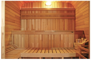 Sauna exterior Holl&#39;s Gaïa Nova