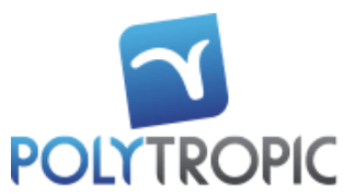 LOGO POLYTOPIC