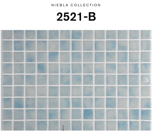 EZARRI NIEBLA 2521-B