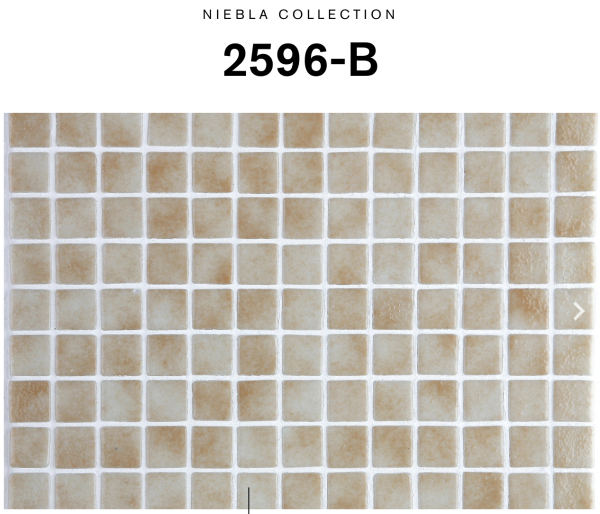 EZARRI NIEBLA 2596-B