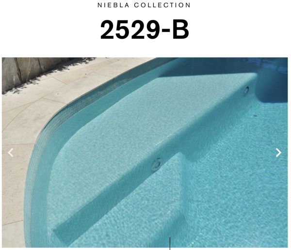 EZARRI NIEBLA 2529-B