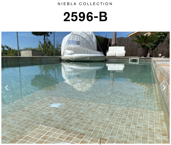 EZARRI NIEBLA 2596-B