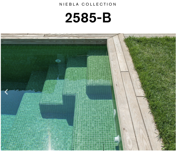 EZARRI NIEBLA 2585-B