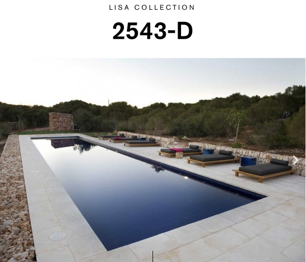 EZARRI LISA 2543-D