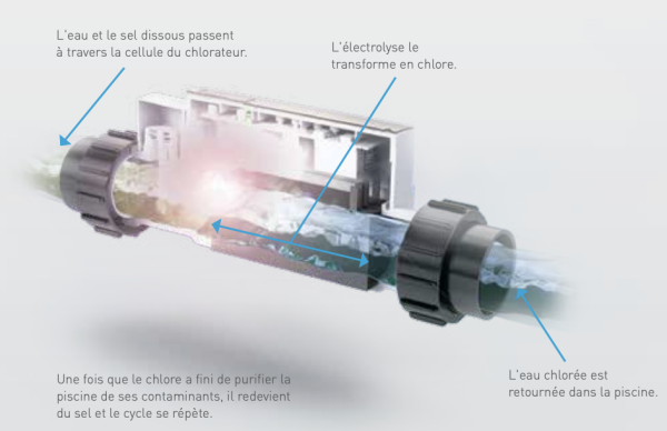 SOLEO INTELLICHLOR PENTAIR KITS