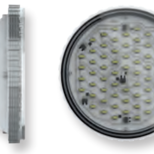 LED PAR56 PUUR